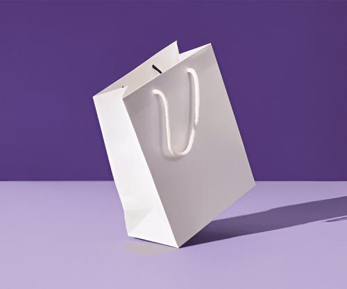 Paper-Bags-With-Handle.jpg