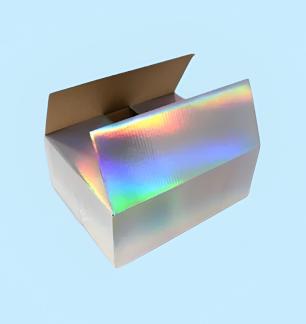 Holographic-Bags.jpeg