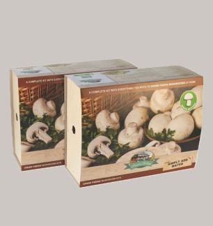 mushroom boxes wholesale.jpg